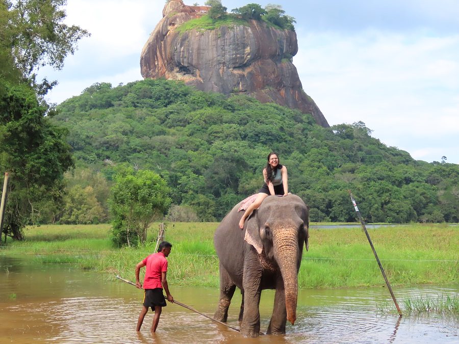 An elephant ride with Sigiriya Rock in the background, part of the Cultural Triangle and Coast tour