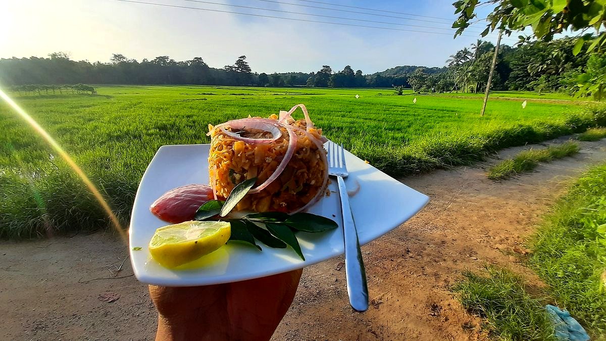 String hoppers served beside a rice paddy field in Sri Lanka, on a Volata Travels tour