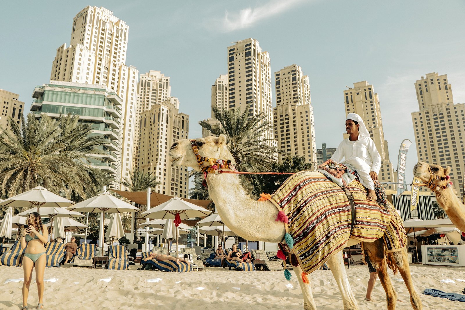 A camel ride on the beach against the Dubai skyline, on the Dubai City and Desert tour